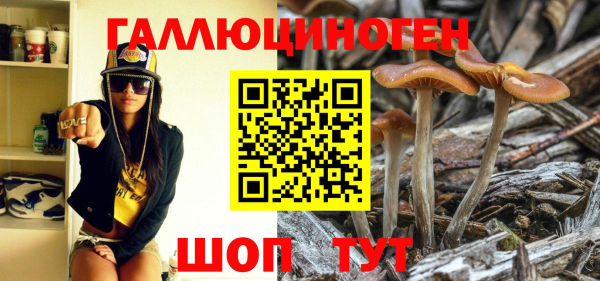 Галлюциногенные грибы Psilocybine cubensis  Вход с VPN  Конаково 